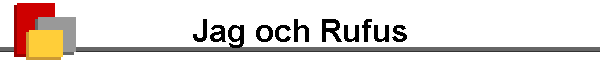 Jag och Rufus